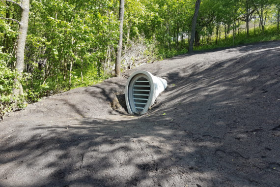 Tunnelsystem auf dem Hubland wird Fledermauswinterquartier